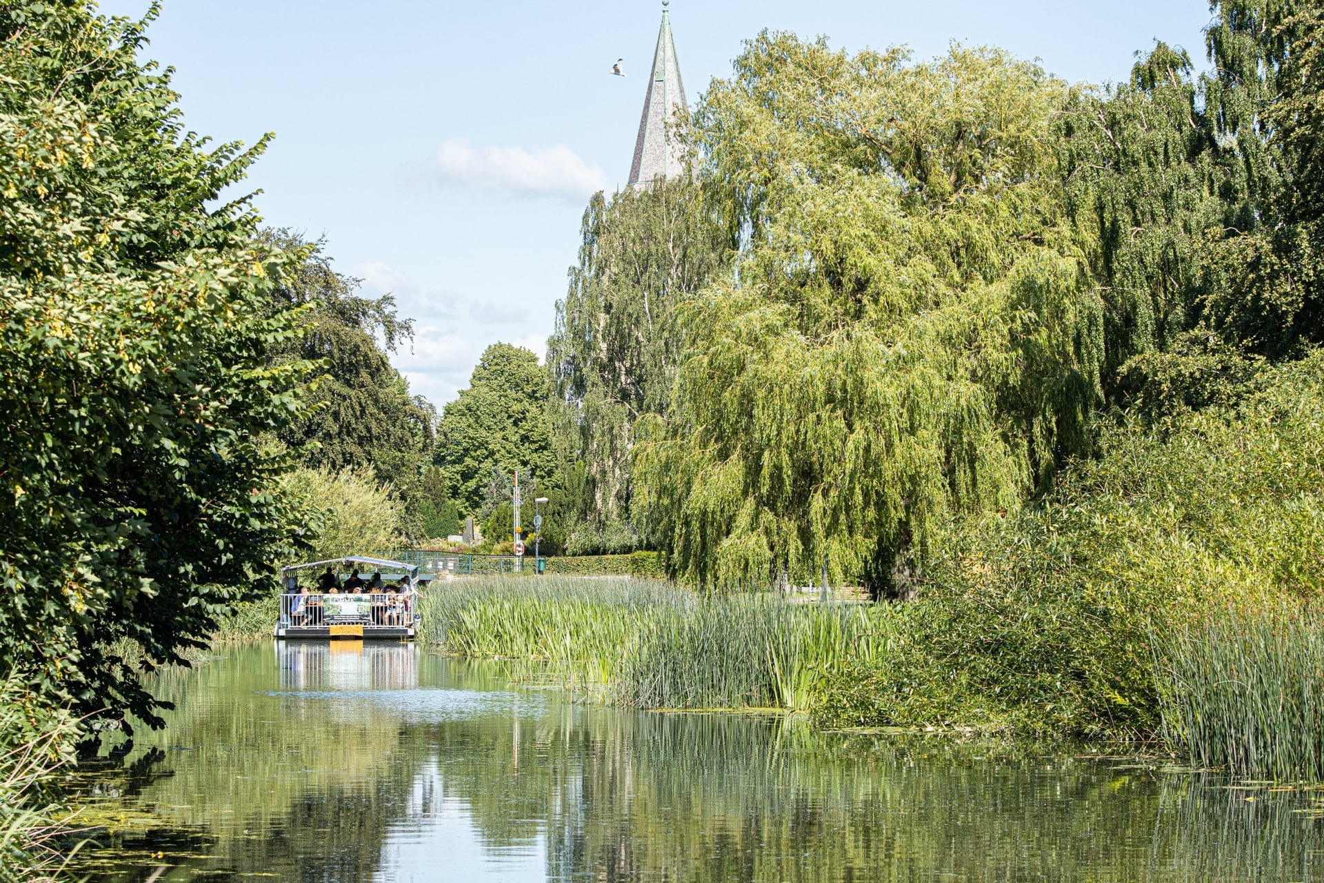 Upptäck ett av Skånes vackraste vatten – en idyllisk sommarutflykt med Lommaflotten🌿💦☀️